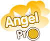 Logo Website Angelpro 1